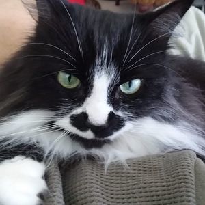 Meet your Posher, Sharon